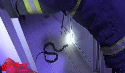 Уߴӿյˮв