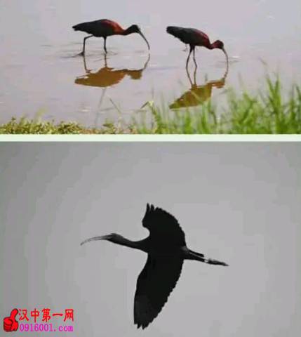 qУ