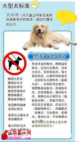 ȮͨȮ롰зʱ