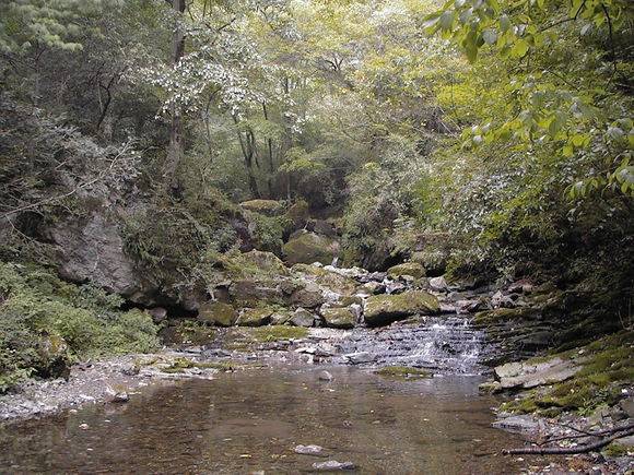 ��������������������������