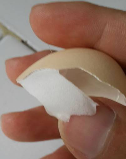 ������������·���������������������ġ���