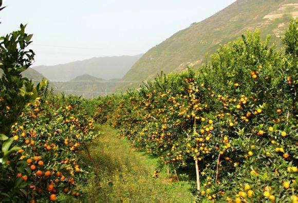 �ǹ̽��ӵĳ�������������11�£���������