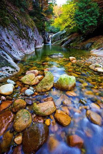 �����Ĵ��Ͻ��ع���ɽ��Ҷ ��ʮ����̶��ˮ