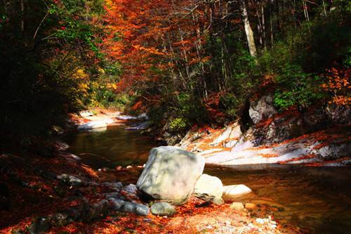 �����Ĵ��Ͻ��ع���ɽ��Ҷ ��ʮ����̶��ˮ