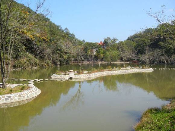 ��ǿ��ˮԴɭ�ֹ�԰����Ȼ������ƱҮ��