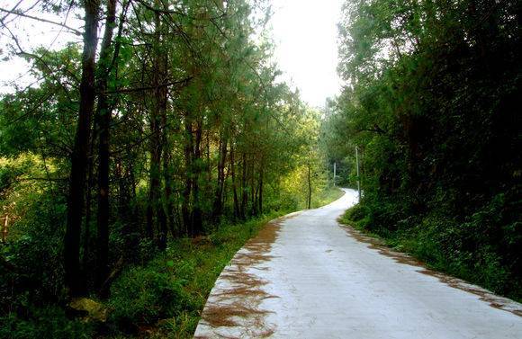 �߽�����éƺ���ҷأ���������������ȥ��