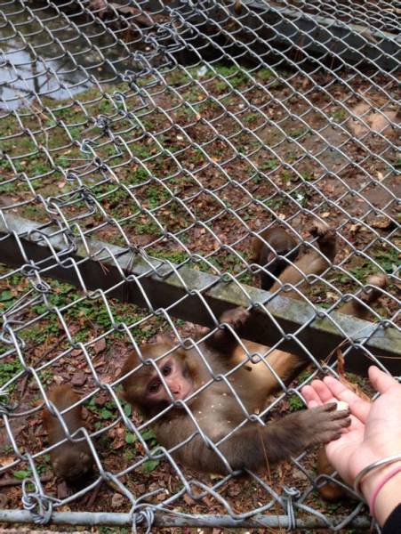 ��ƺ��ɫ���Ⱦ�կ������٣�ֻ�ǿ��������죬�쵼�����ӣ���ϧ��