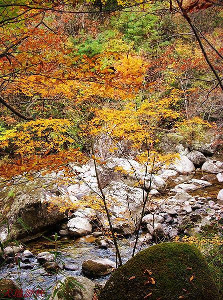 ��������������������������м�