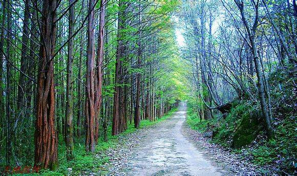 ��������������������������м�