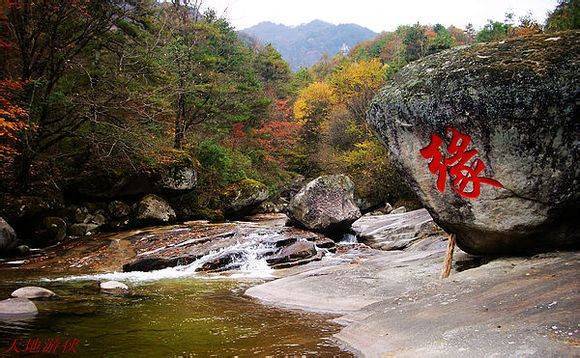 ��������������������������м�