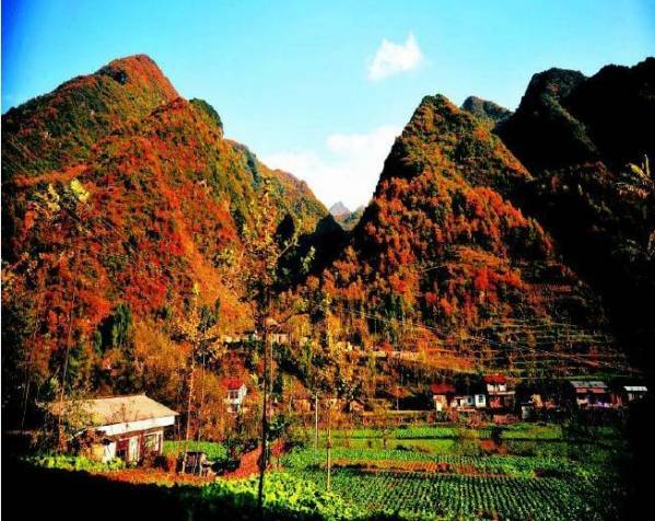 �ʷ��������ҺͰ�����Ħ��ǰ����������ɽ