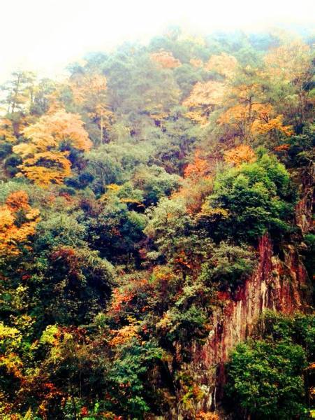 �ͼ���������Լ�Ӻ��г�����������ɽ�����С���Ԫ��������ǿ���̹�