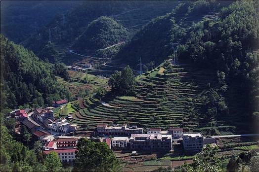 Ԫƺ�壬���еġ��żҽ硱�����ڴ������ա������������� 