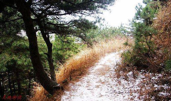 ����ѩ�л��ư��ӻ���ɽ�� 