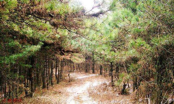 ����ѩ�л��ư��ӻ���ɽ��