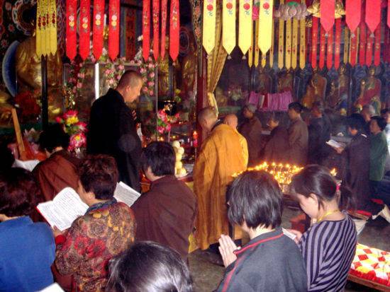 �����ӷ����� �ݷ�������������