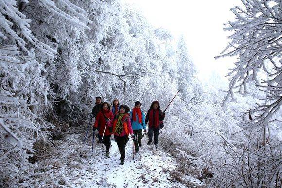 ��֣��ɽ����ѩ�������̫����