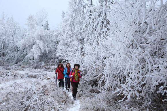 ��֣��ɽ����ѩ�������̫����