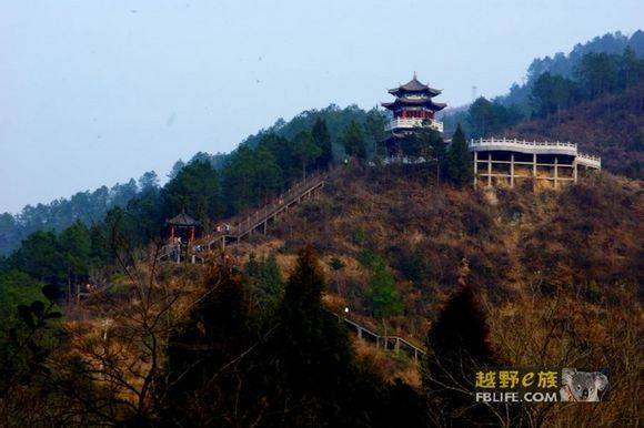 ϸϸƷζ��һ�����ۡ���ʵ�ء�����ľ��