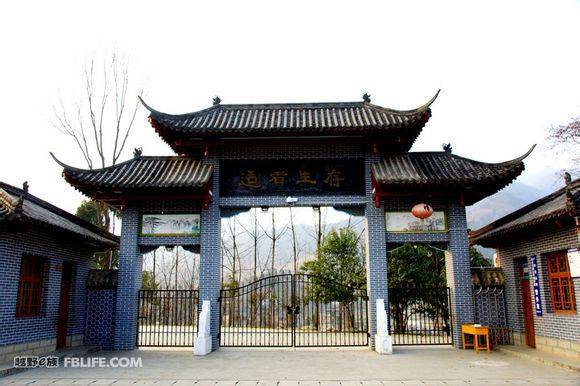 ϸϸƷζ��һ�����ۡ���ʵ�ء�����ľ��