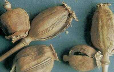 ����һ��ŮЯ��ڿǳ˻𳵱��� ���Լ���������