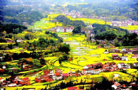 2014�����Ͳ˻�����Ӱ��·�ο�