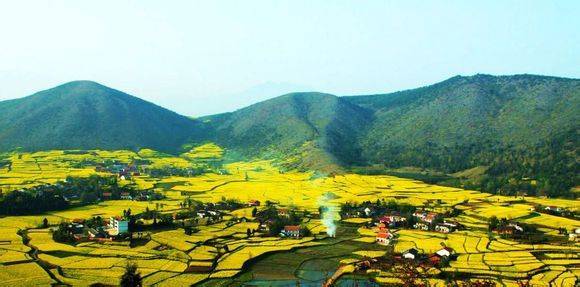 �ǹ̾��ĳﱸ2014�й������Ͳ˻������ν�