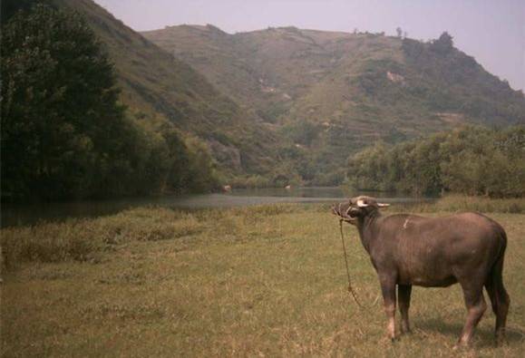 ���ؽ�Ȫ����Ȫ���Է��б����������������ˣ�������İ���