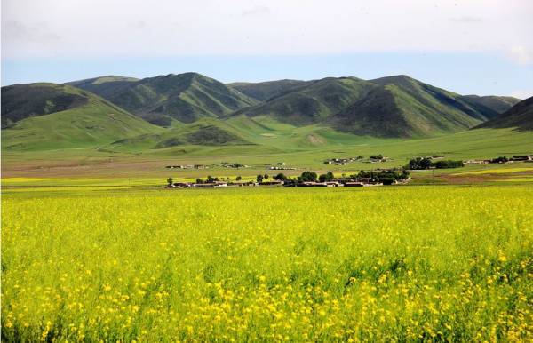 �ǹ̵Ĵ��챻��Ӳӵ��Ͳ˻�������