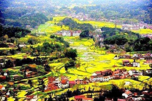 2014�꺺���Ͳ˻���Ϣָ�Ϲ���