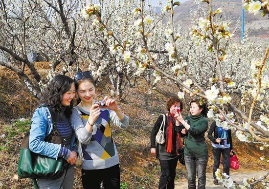 ����ӣ�ҹ�