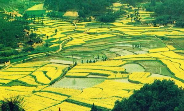 �й����������Ͳ˻���