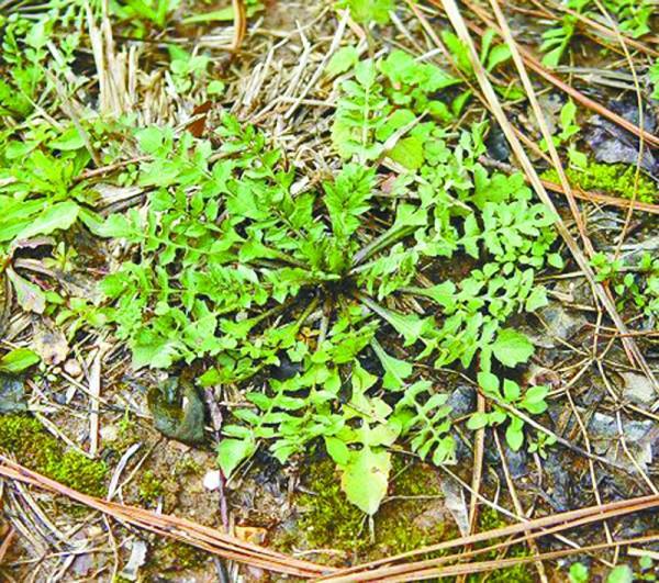 ���д����Ұ��ע�ⰲȫ